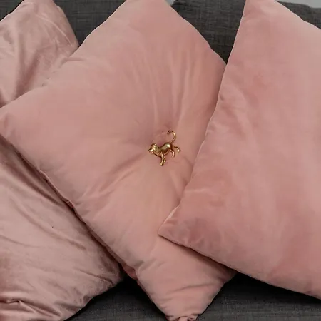 Appartement Exceptional In With Parking By Renters *